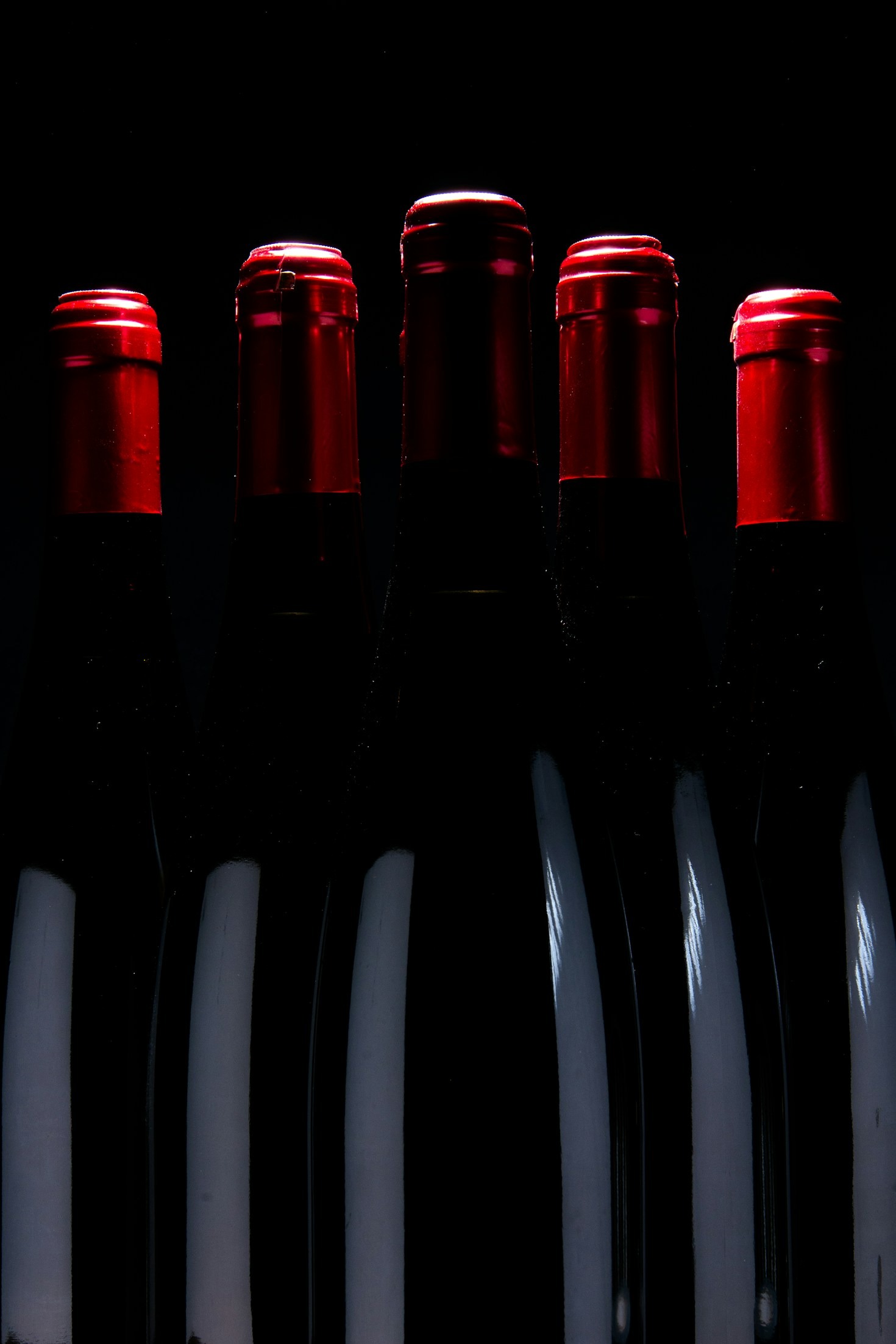 Dalla vigna alla tavola: il percorso del vino